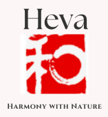 Nature to Body and Mind, No Loop.