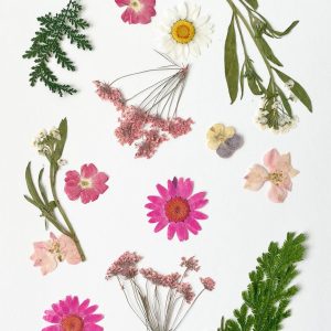 From Nature Straight to Body and Mind, No Loop.